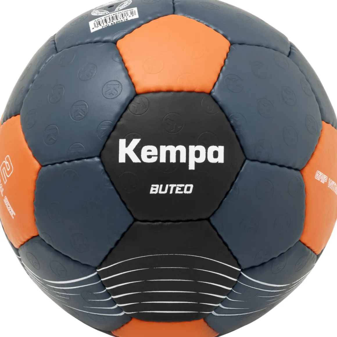 Buteo Handball